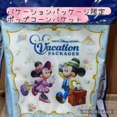 東京ディズニーリゾート バケーションパッケージ限定ポップコーンバケット