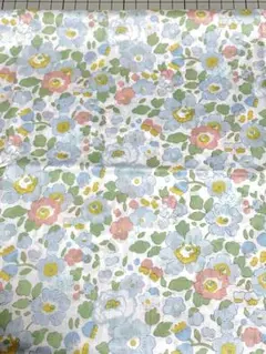 Item thumbnail for item 2c30eb44-9db7-42e9-a2e5-f3cda1e2950e