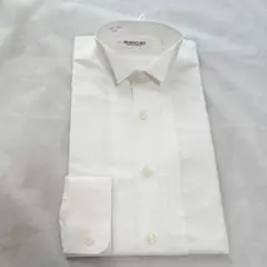 Item thumbnail for item be1f61ee-7fd7-446f-955a-41061f27e8fe