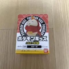 ホゲータ　ポケモンキッズ