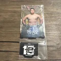 Item thumbnail for item 42f1c64f-3156-46b1-b7bb-cc176ed63ce9