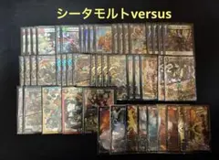 シータモルトversus デッキ　調整パーツ付き オリジナル】シータモルトVERSUS【構築メモ】｜空気男