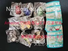 2026年最新】昆虫MANIAC ピンズの人気アイテム - メルカリ