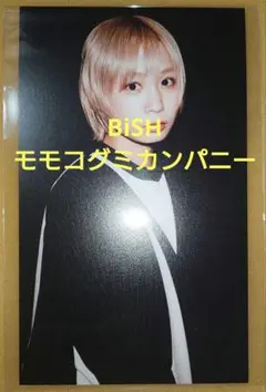 BiSH モモコグミカンパニー WACK×タワーレコード トレカ