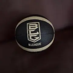molten B.LEAGUE バスケットボール B1B200-KW 2号のサムネイル