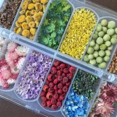 ドライフラワー　プリザーブドフラワー　花材 詰め合わせ