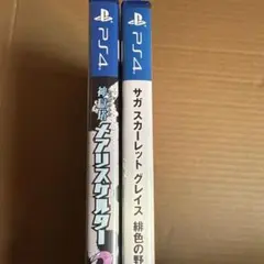 神獄塔 メアリスケルター2 サガスカーレット