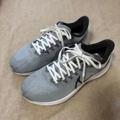 NIKEペガサス39 25.5cm