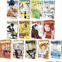 ハイキュー!! ショーセツバン!!Sportiva＋特典ビジュアルボード全種