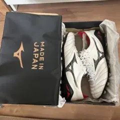 モレリアネオ4 27