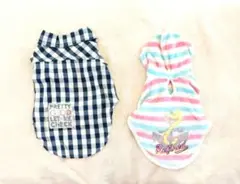 Item thumbnail for item 04e82f2f-0eb5-405a-a3d9-c80574174ff7