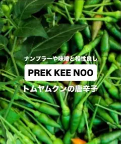 激辛極小プリッキーヌ唐辛子　種子20粒