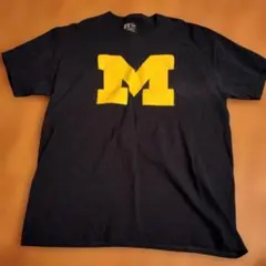 Item thumbnail for item 8c225d94-c8bf-43df-8a30-6d9a6c6316af