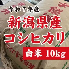 令和7年産魚沼産コシヒカリ10kg 食味最高Sランク90点 JA一等米同一圃場