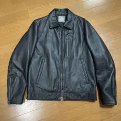 ナノユニバース シングルライダース