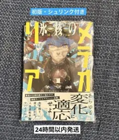 2026年最新】氷核のメテオリアの人気アイテム - メルカリ