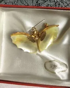 未使用 天然貝素材の蝶形のブローチ