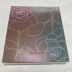 Item thumbnail for item b575601c-c795-4d8f-bb9e-df2cb60e1981