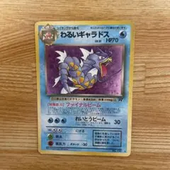 わるいギャラドス 25th ＆ Dark Gyarados ＋おまけ - メルカリ