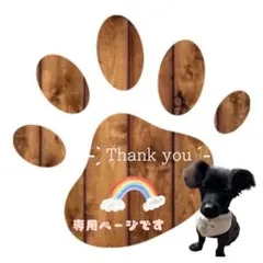 【 rrr 様専用ページ】愛犬 デニムスタイ