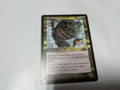 MTG サイカトグ / Psychatog 1枚