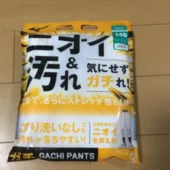 Item thumbnail for item b021a26b-2e8c-400a-a246-6025cfba7f99