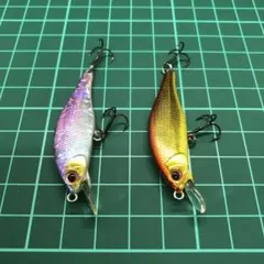 308、廃盤　パームス アレキサンドラ 50Sのサムネイル