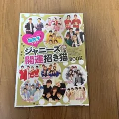 ジャニーズ　切り抜き冊子