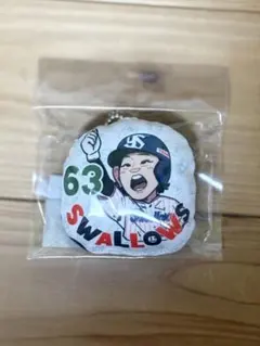 Item thumbnail for item 76b564c8-fe23-46e4-aca4-8b4cb48eb4eb