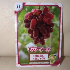 2026年最新】生坂村 カードの人気アイテム - メルカリ