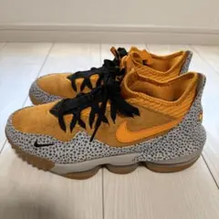 Nike レブロン アトモス 25.0
