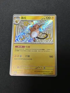 2025年最新】ライチュウ色違いの人気アイテム - メルカリ