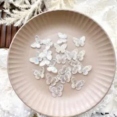 Bu-1 デコパーツ 蝶 クリアオーロラ 穴なし 20個