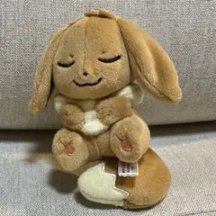 ポケモン　イーブイ