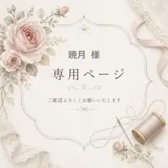 暁月|体調不良中|5/11プロフ更新様 リクエスト 4点 まとめ商品