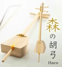 胡弓 本体 弓付き 和楽器 HACO森の胡弓 木製 簡単教本付き - メルカリ