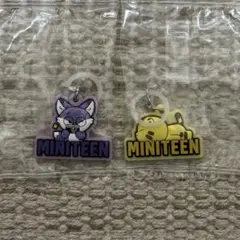 MINITEEN ぷっくりめじるしアクセサリー ウォヌ ホシ
