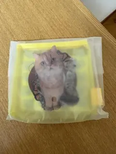PAUL & JOE ポール＆ジョー 猫柄 ミニポーチのサムネイル