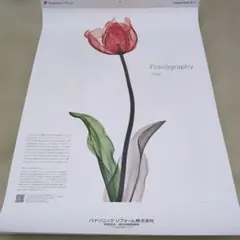 Item thumbnail for item 91e7c197-9d0f-4346-a75d-33bf3c17560d