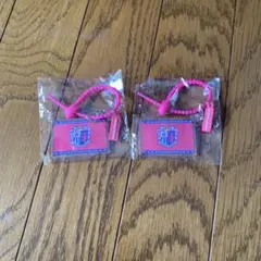 セレッソ大阪 アクリルキーホルダー 2個セット