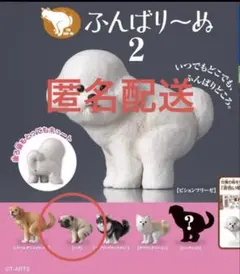 チワワ カプセルトイ