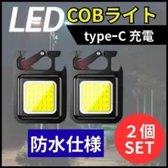 Item thumbnail for item c7ef6a89-32f4-4c29-9a90-95802506d994