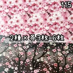 ［115］An(MALAMA)様 デザペ♡6枚
