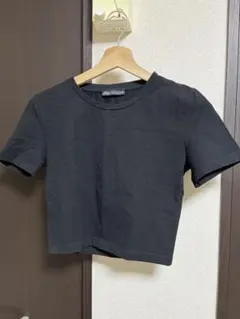 ZARA ピチT クロップド Tシャツ