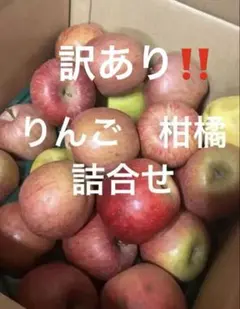 30訳あり‼️激安‼️りんご2種　柑橘 セミノール　カラ　甘夏　他10キロ以内のサムネイル