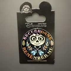 海外ディズニー ピンバッジ リメンバーミー ミゲル