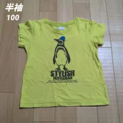 BRANSHES ペンギンプリント Tシャツ 100