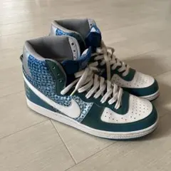 Nike ハイカット スニーカー ティール/ホワイト