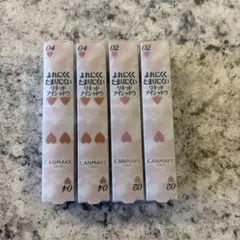 CANMAKE キャンメイク　アイカラーマジシャン 04 淡い予感　02 約束