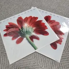 2026年最新】メガジャケ superbeaverの人気アイテム - メルカリ